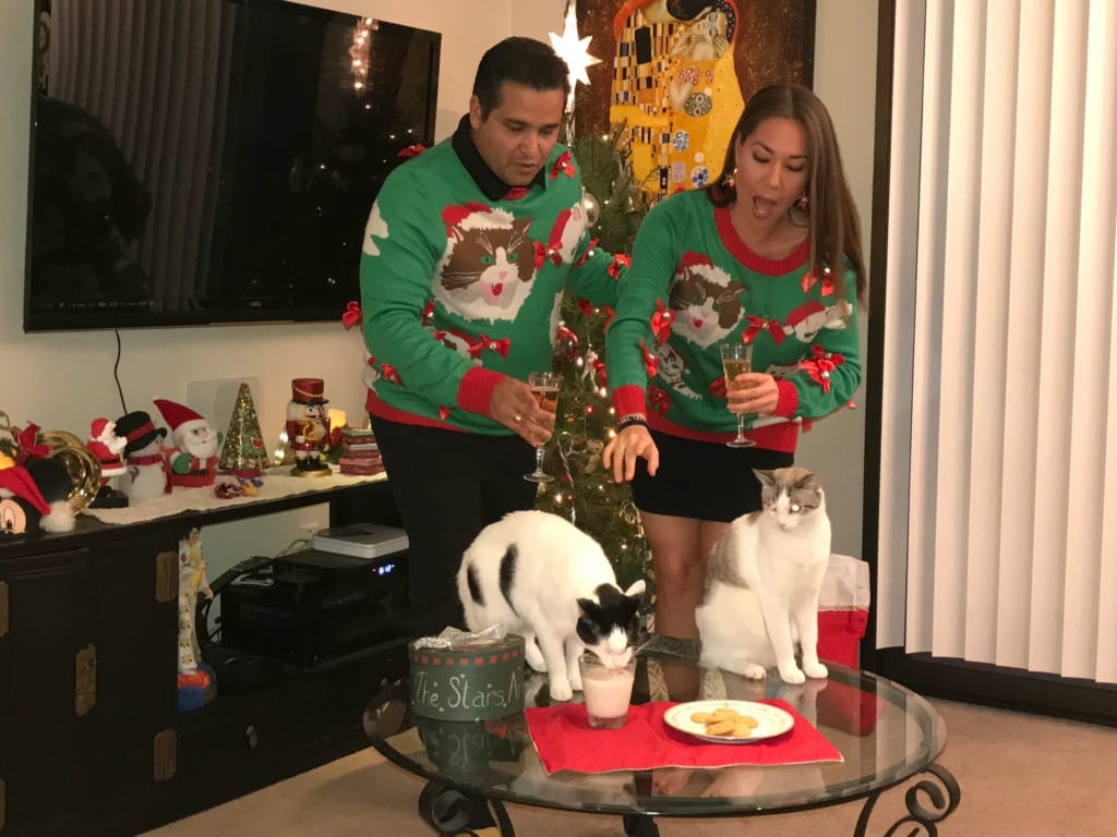 Furry Family Furry Family